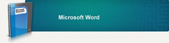 Microsoft Word