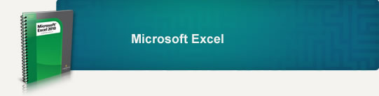 Microsoft Excel