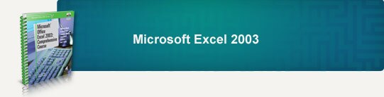 Microsoft Excel